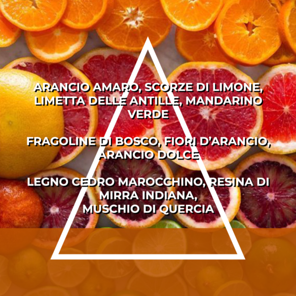 FAMIGLIA AGRUMATA - RICARICA ESSENZA PER ITALFRESH 200 - immagine 2