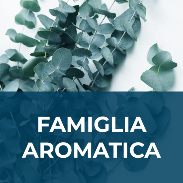 FAMIGLIA AROMATICA - RICARICA ESSENZA PER ITALFRESH 200