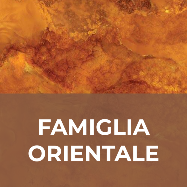 FAMIGLIA ORIENTALE - RICARICA ESSENZA PER ITALFRESH 200