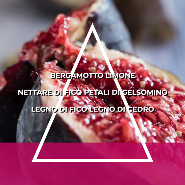 FAMIGLIA FLOREALE FRUTTATA - RICARICA ESSENZA PER ITALFRESH 200 - immagine 4