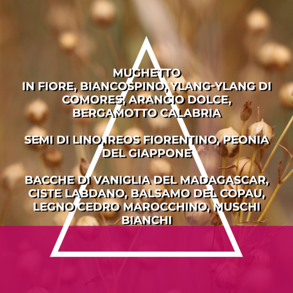 FAMIGLIA FLOREALE FRUTTATA - RICARICA ESSENZA PER ITALFRESH 200 - immagine 2