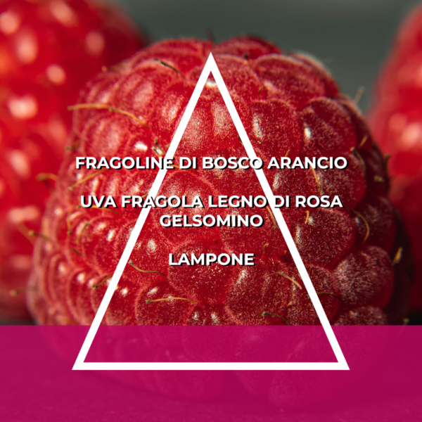 FAMIGLIA FLOREALE FRUTTATA - RICARICA ESSENZA PER ITALFRESH 200 - immagine 6